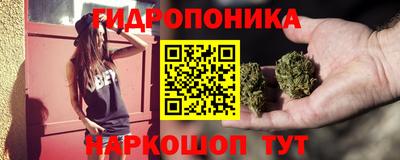 apvp Краснодар