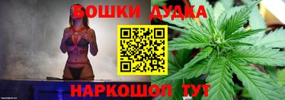 apvp Краснодар