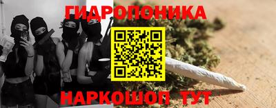 apvp Краснодар