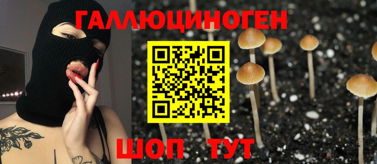 Карталы  Псилоцибиновые грибы GOLDEN TEACHER  Вход с VPN 
